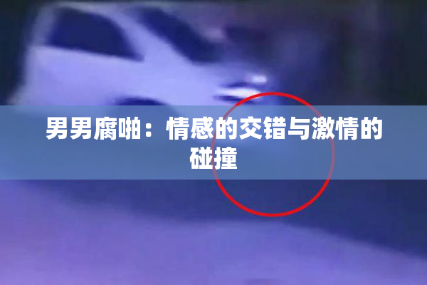 男男腐啪：情感的交错与激情的碰撞