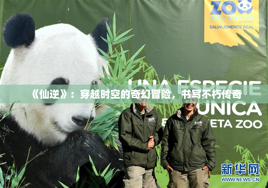 《仙逆》：穿越时空的奇幻冒险，书写不朽传奇