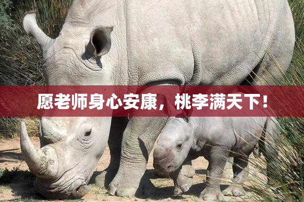 愿老师身心安康，桃李满天下！