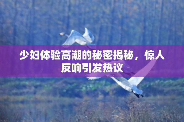 少妇体验高潮的秘密揭秘，惊人反响引发热议