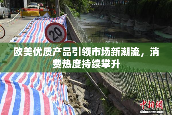 欧美优质产品引领市场新潮流，消费热度持续攀升