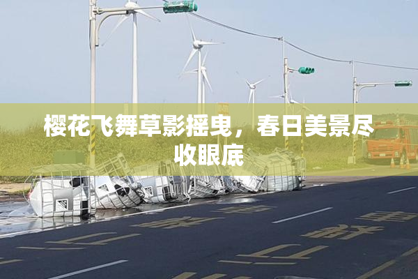 樱花飞舞草影摇曳，春日美景尽收眼底