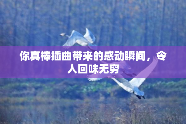 你真棒插曲带来的感动瞬间，令人回味无穷