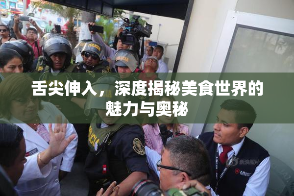 舌尖伸入，深度揭秘美食世界的魅力与奥秘