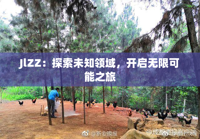 JlZZ：探索未知领域，开启无限可能之旅