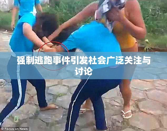 强制逃跑事件引发社会广泛关注与讨论