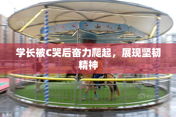 学长被C哭后奋力爬起，展现坚韧精神