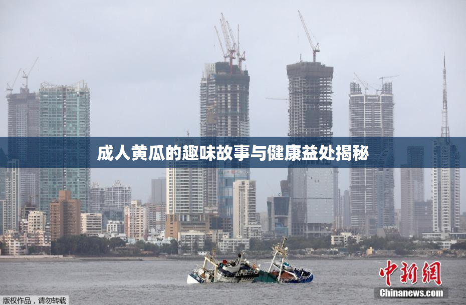成人黄瓜的趣味故事与健康益处揭秘