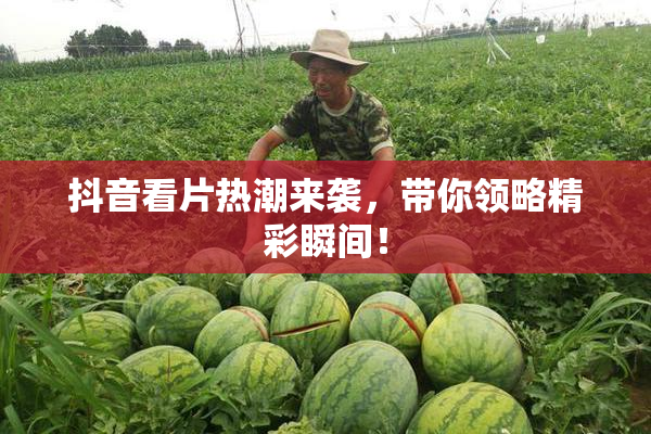 抖音看片热潮来袭，带你领略精彩瞬间！