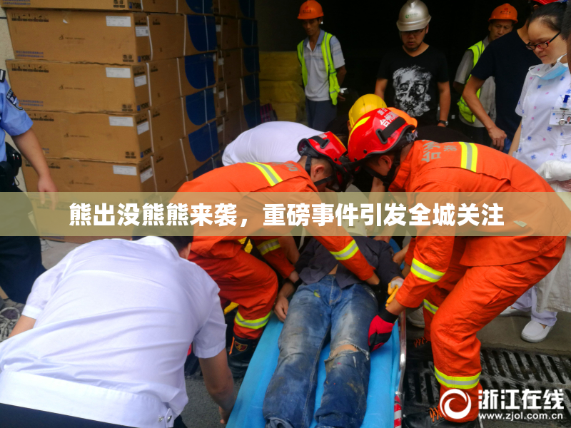 熊出没熊熊来袭，重磅事件引发全城关注