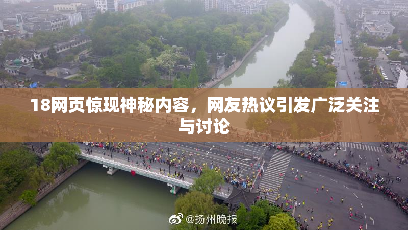 18网页惊现神秘内容，网友热议引发广泛关注与讨论