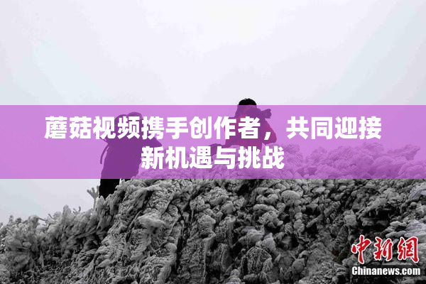 蘑菇视频携手创作者，共同迎接新机遇与挑战