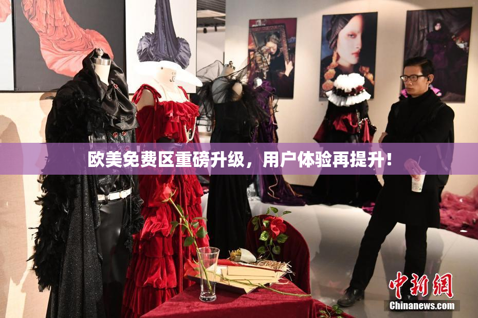欧美免费区重磅升级，用户体验再提升！