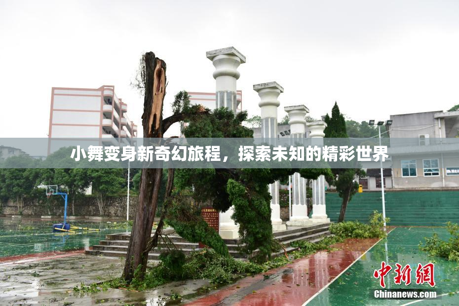 小舞变身新奇幻旅程，探索未知的精彩世界
