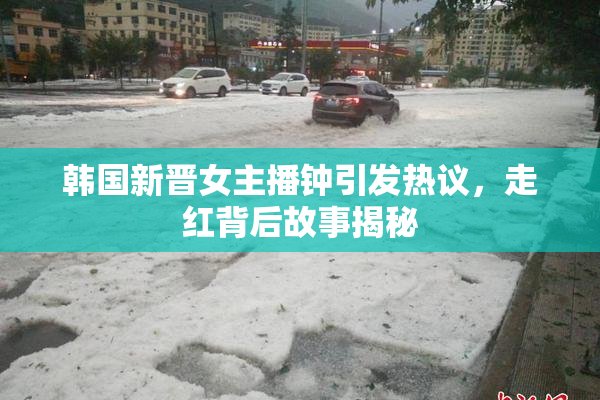 韩国新晋女主播钟引发热议，走红背后故事揭秘