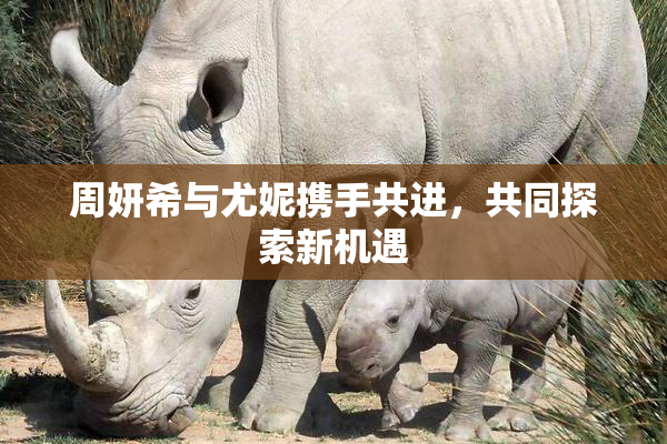 周妍希与尤妮携手共进，共同探索新机遇