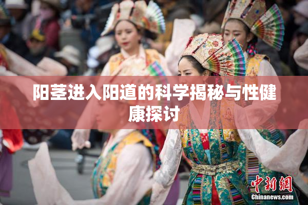 阳茎进入阳道的科学揭秘与性健康探讨