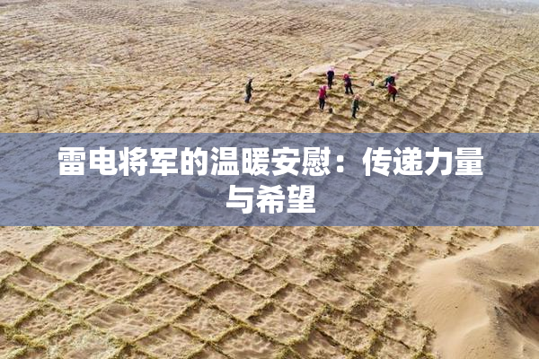 雷电将军的温暖安慰：传递力量与希望