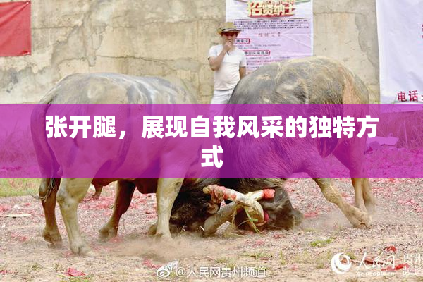张开腿，展现自我风采的独特方式
