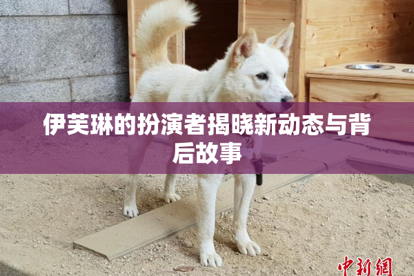 伊芙琳的扮演者揭晓新动态与背后故事