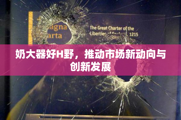 奶大器好H野，推动市场新动向与创新发展