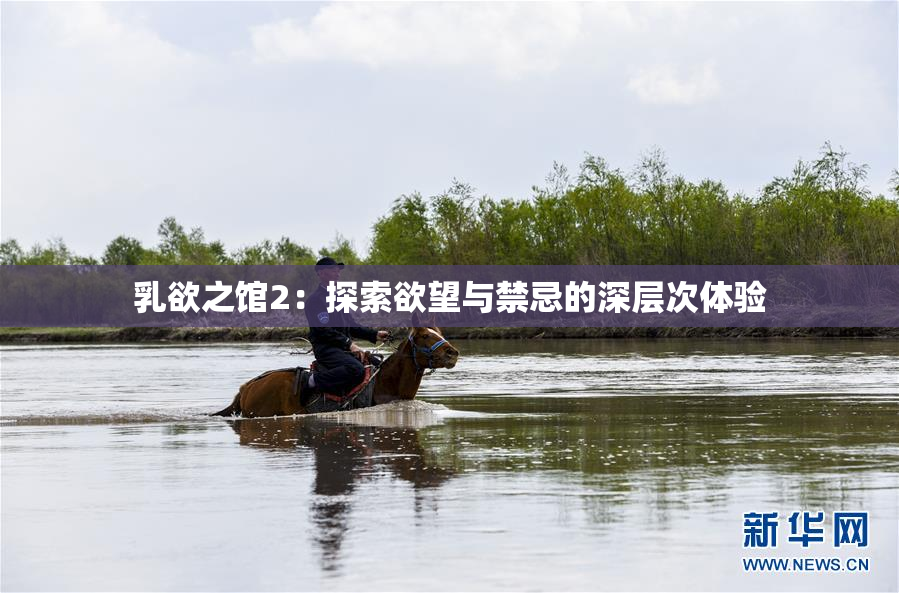 乳欲之馆2：探索欲望与禁忌的深层次体验