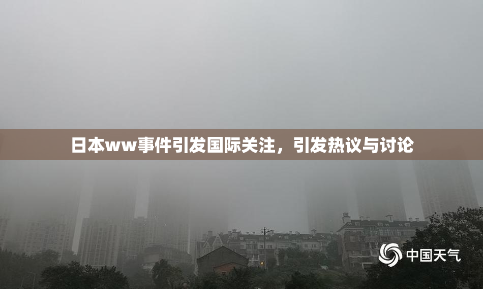 日本ww事件引发国际关注，引发热议与讨论