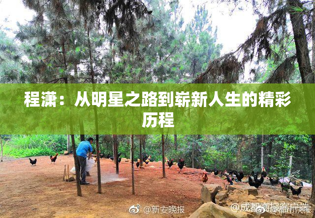 程潇：从明星之路到崭新人生的精彩历程