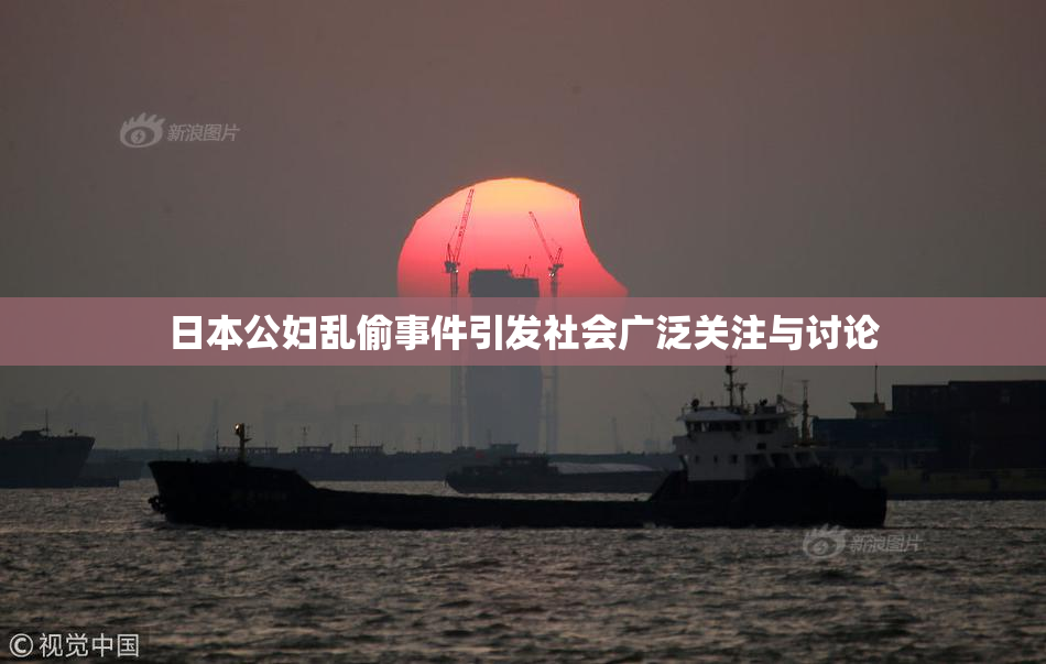 日本公妇乱偷事件引发社会广泛关注与讨论