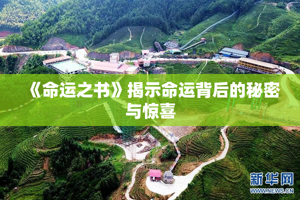 《命运之书》揭示命运背后的秘密与惊喜
