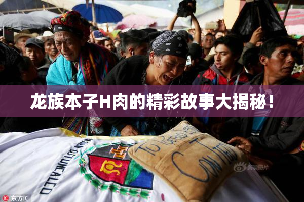 龙族本子H肉的精彩故事大揭秘！