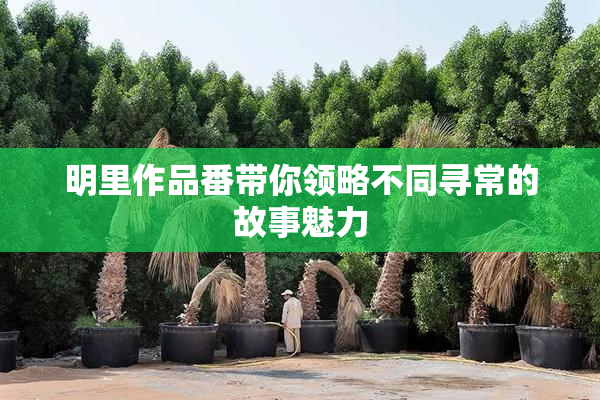 明里作品番带你领略不同寻常的故事魅力