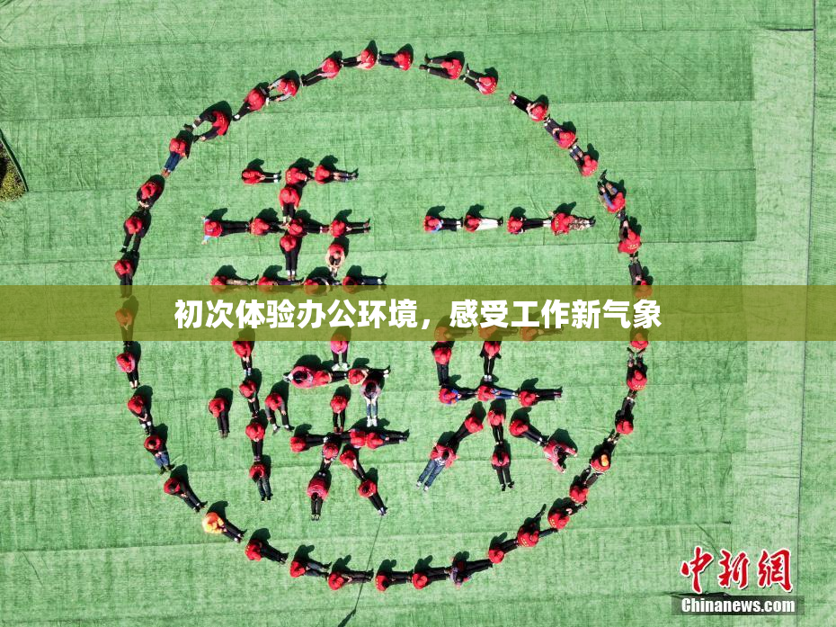 初次体验办公环境，感受工作新气象