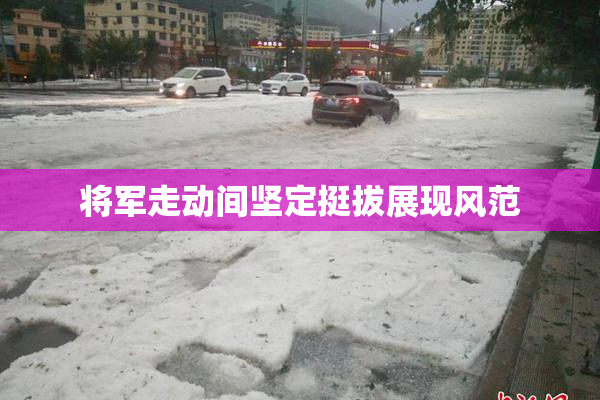将军走动间坚定挺拔展现风范