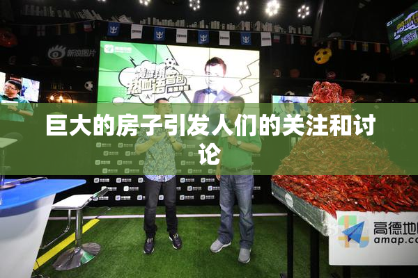 巨大的房子引发人们的关注和讨论
