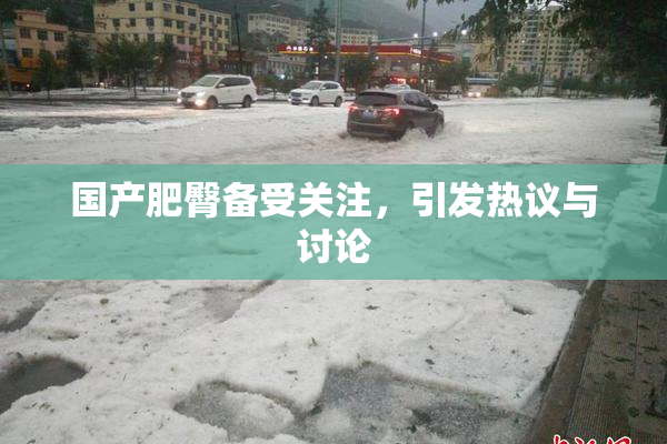 国产肥臀备受关注，引发热议与讨论
