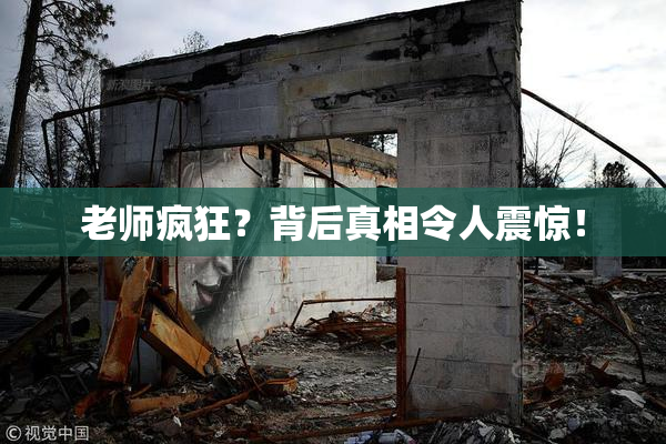 老师疯狂？背后真相令人震惊！