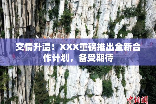交情升温！XXX重磅推出全新合作计划，备受期待