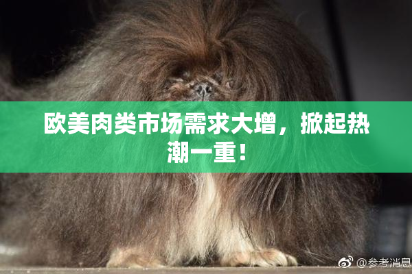 欧美肉类市场需求大增，掀起热潮一重！