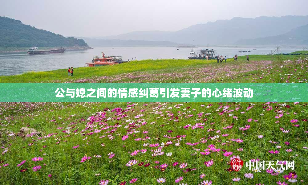 公与媳之间的情感纠葛引发妻子的心绪波动