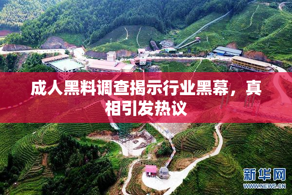 成人黑料调查揭示行业黑幕，真相引发热议