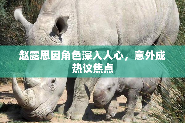 赵露思因角色深入人心，意外成热议焦点