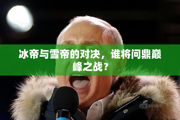 冰帝与雪帝的对决，谁将问鼎巅峰之战？