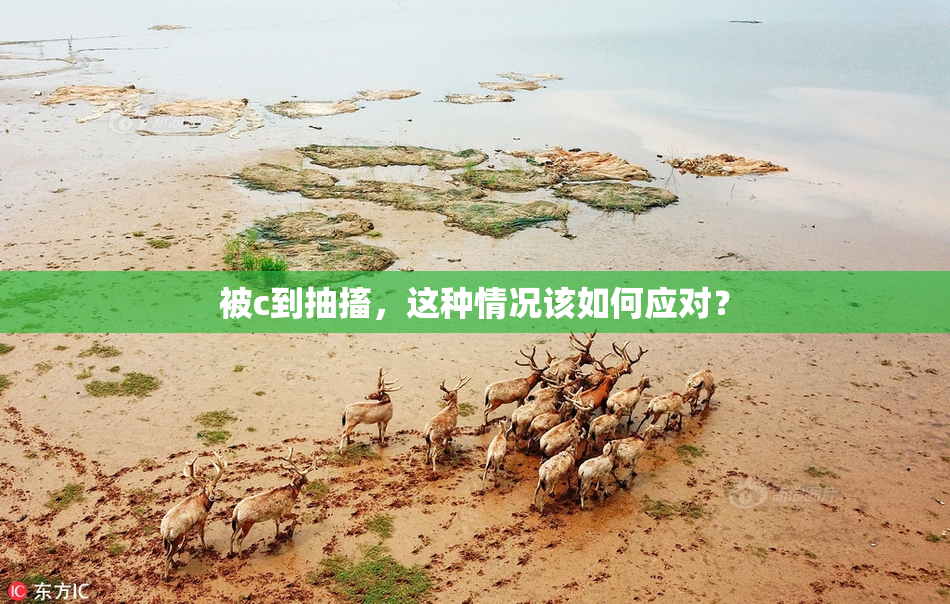 被c到抽搐，这种情况该如何应对？