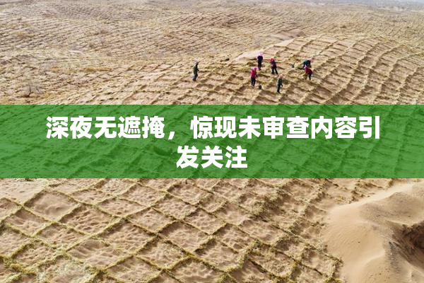 深夜无遮掩，惊现未审查内容引发关注