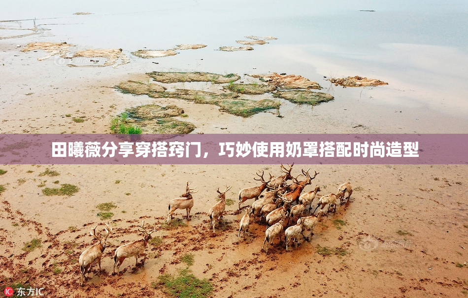 田曦薇分享穿搭窍门，巧妙使用奶罩搭配时尚造型