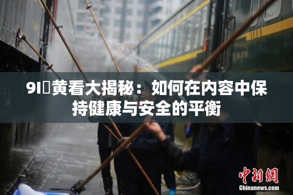 9I婬黄看大揭秘：如何在内容中保持健康与安全的平衡