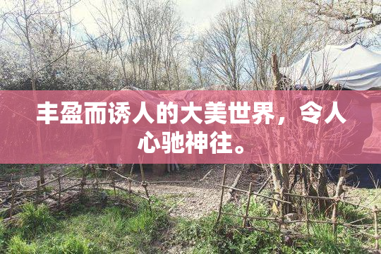 丰盈而诱人的大美世界，令人心驰神往。