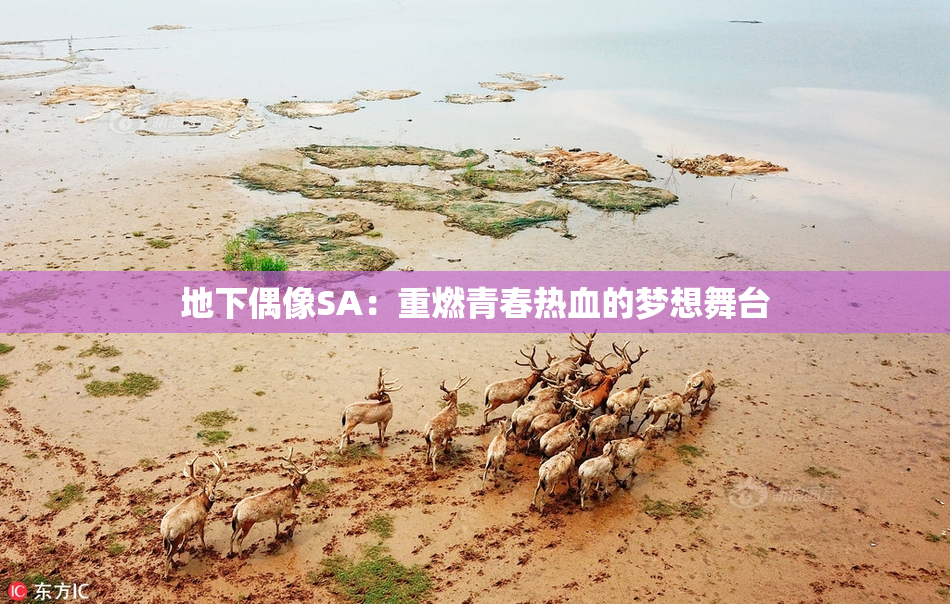 地下偶像SA：重燃青春热血的梦想舞台