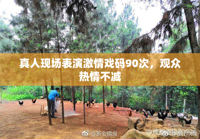 真人现场表演激情戏码90次，观众热情不减
